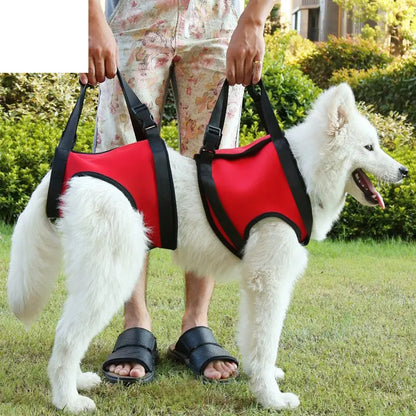 Paw Pets Elderly Dog Leg Support Assist Belt – Supportive Pet Auxiliary Belt for Dogs Paw Pets Store