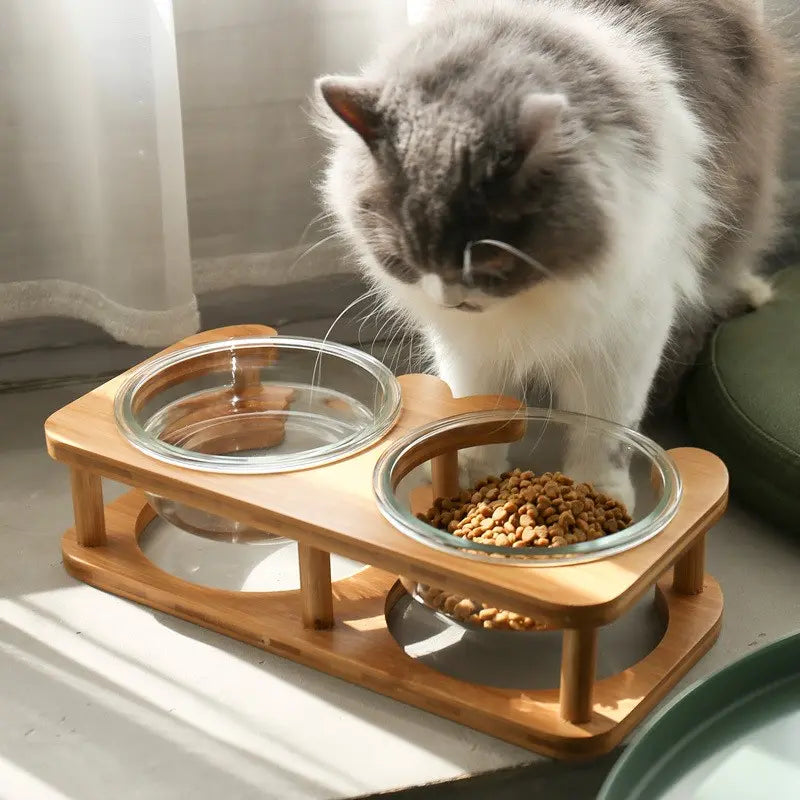 cat-food-bowl